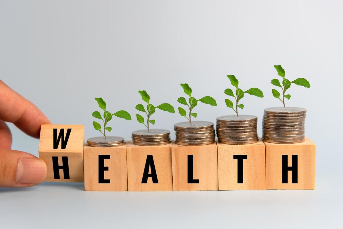 Wealth Guidance